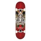 SKATE COMPLETO BIRDHOUSE COMPLETE STAGE 1 HAWK ICON RED 8"