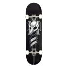 SKATE COMPLETO BIRDHOUSE STAGE 1 HAWK CREST 8.0" MULTI