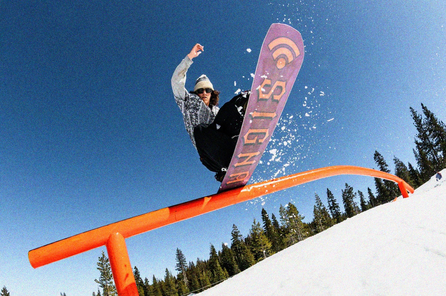 Tavole da snowboard