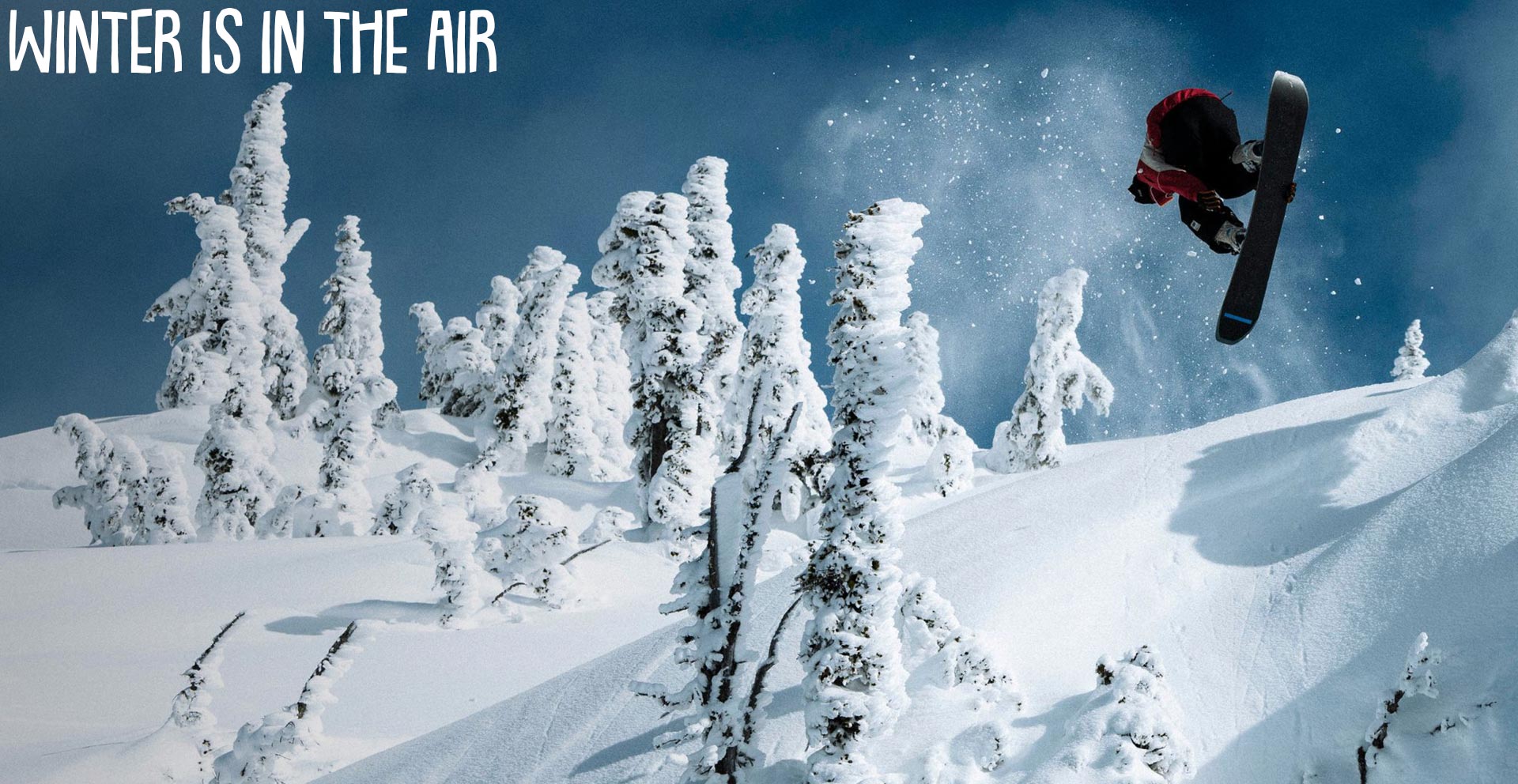 Snowboard in offerta Attrezzatura da snowboard